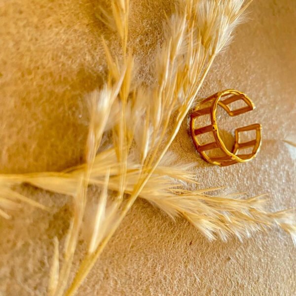 Stainless Steel Ring